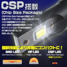 画像2: 2in1 LED デイライト/フォグランプキット ホワイト/ウォームホワイト 4500K ブルー/ホワイト 6000K トヨタ車 レクサス車 用 (2)